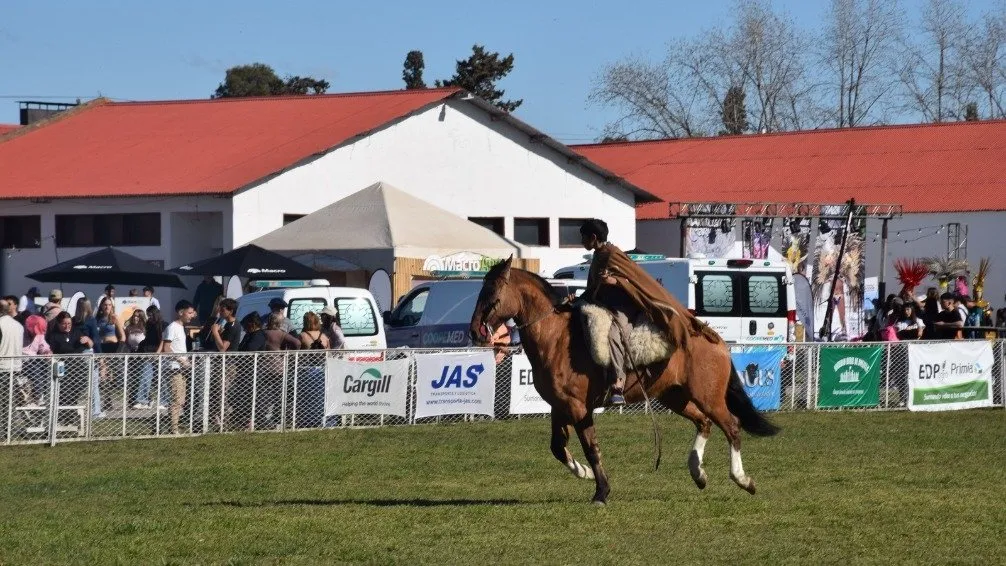 Los caballos de trabajo dieron buen espectáculo en la pista central